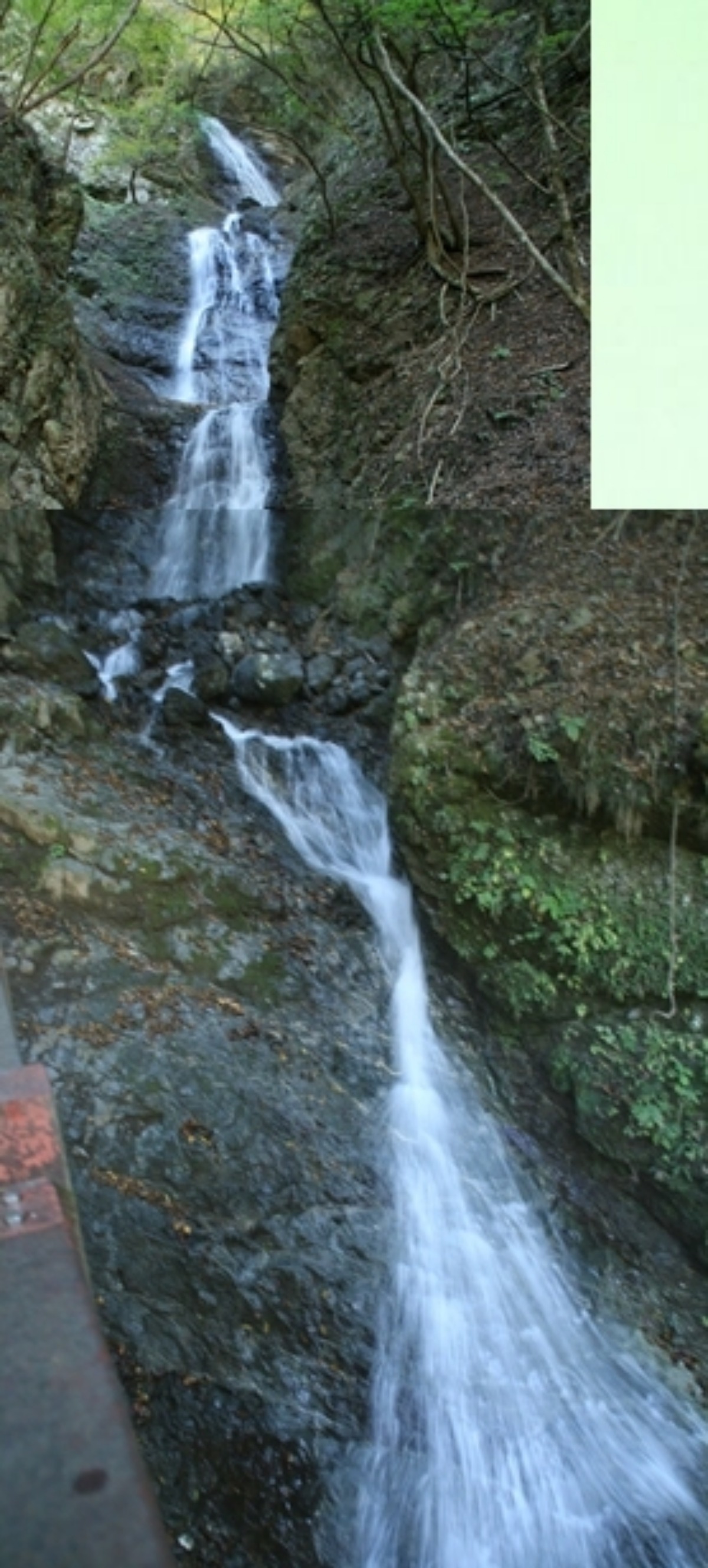 e0033229_11444535.jpg