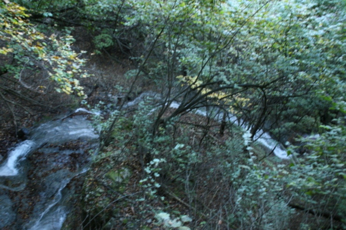 e0033229_11473154.jpg