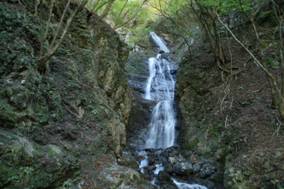 e0033229_1154693.jpg