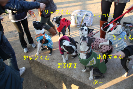 a0190132_23345830.jpg