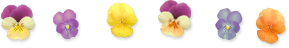b0182535_1417329.png