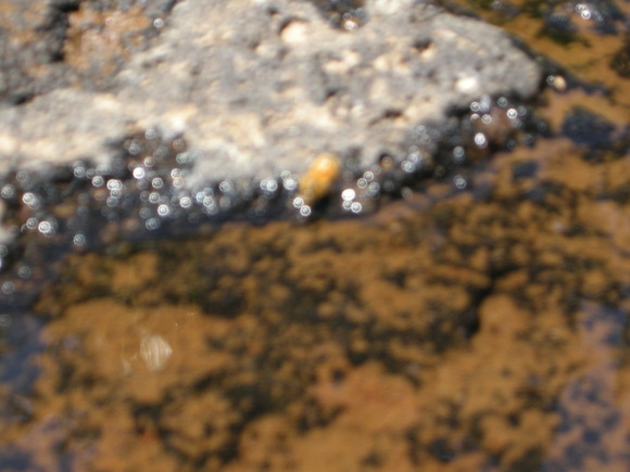 b0139547_1611567.jpg