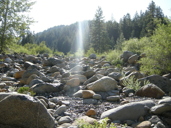 b0139547_1622935.jpg