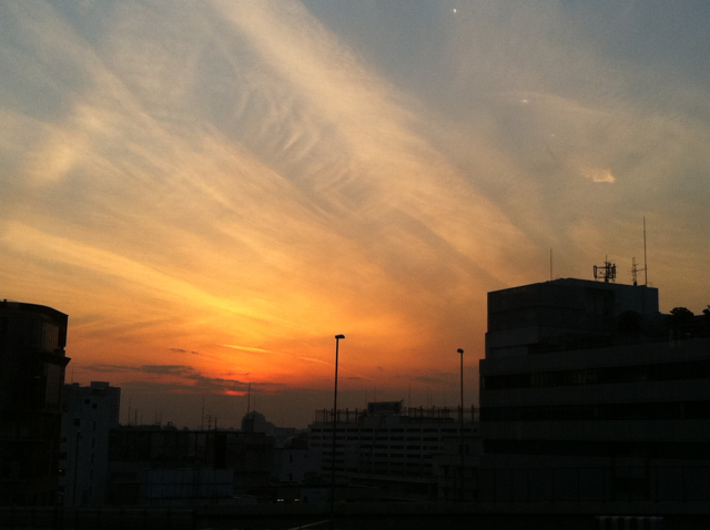 f0179947_1145822.jpg