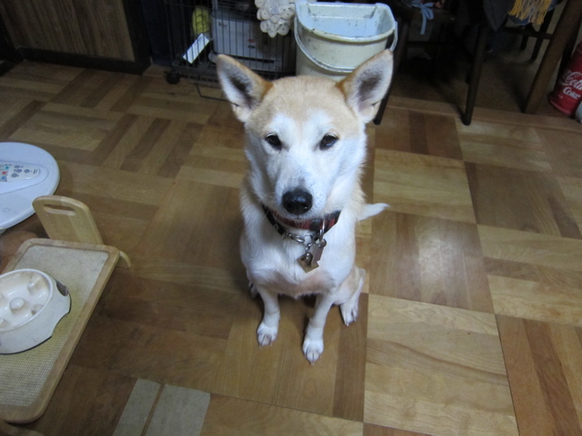 b0072650_9582677.jpg