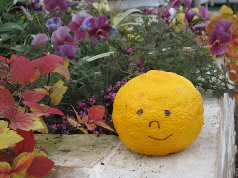 f0220152_1741263.jpg