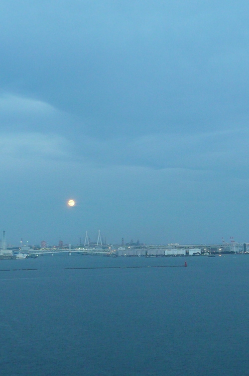 b0109054_6593132.jpg