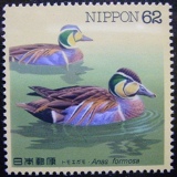 c0136654_231377.jpg