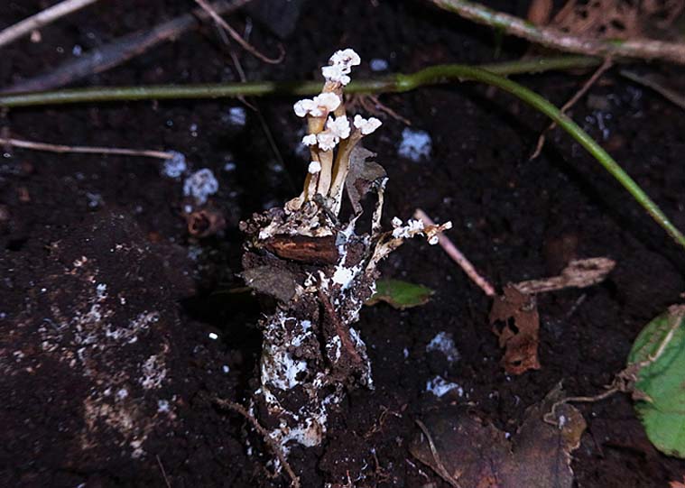 d0146854_23215384.jpg