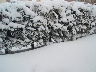 e0004756_2271958.jpg