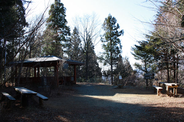 a0154957_9553878.jpg