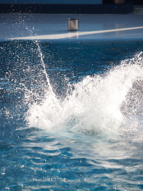 c0186760_2133564.jpg