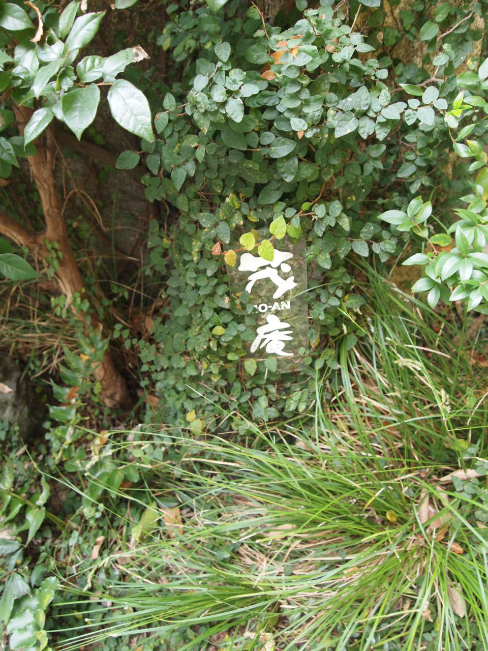 e0158363_17413071.jpg