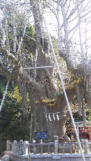 d0015968_22213012.jpg