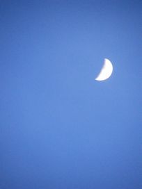 b0128173_16404261.jpg