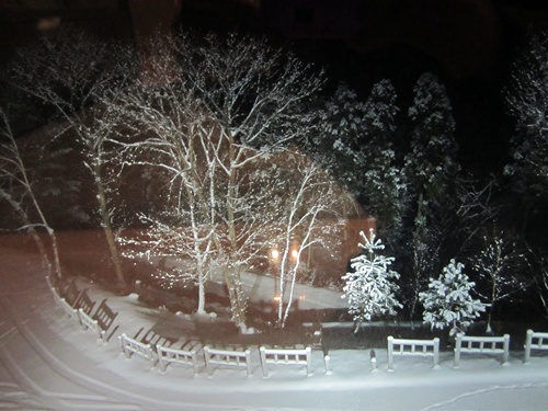 f0213476_7223122.jpg