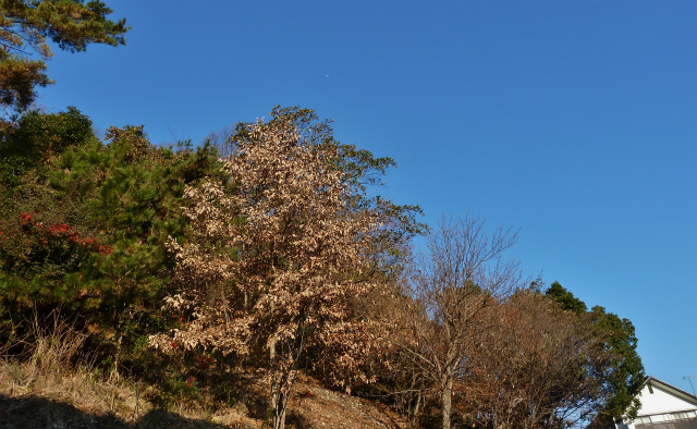 d0245378_9585456.jpg