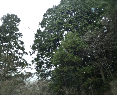 c0032580_19354677.jpg