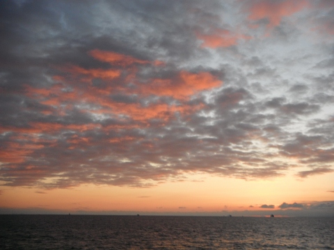 f0082181_187547.jpg