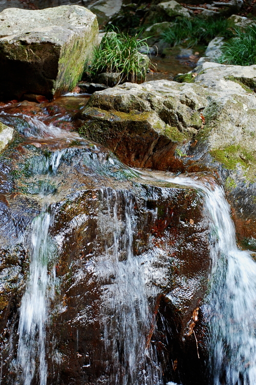 d0179983_14343724.jpg