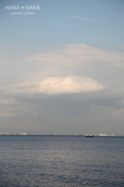 b0143484_1610026.jpg