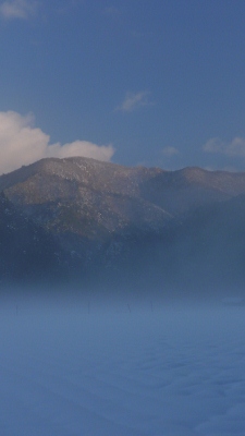 b0226089_228635.jpg