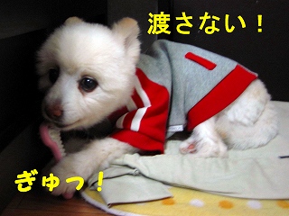 e0121589_0365978.jpg