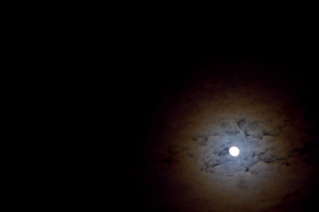 d0145790_10121148.jpg