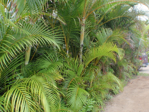 b0164291_12264164.jpg