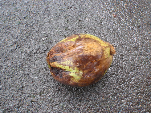 b0164291_14184990.jpg