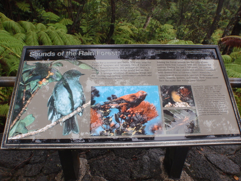 b0164291_15144587.jpg