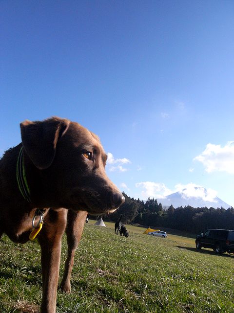 a0093592_0423256.jpg
