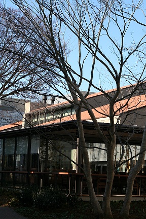 e0166094_1683364.jpg