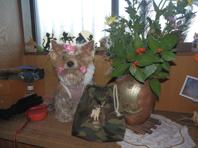 f0130894_18571427.jpg