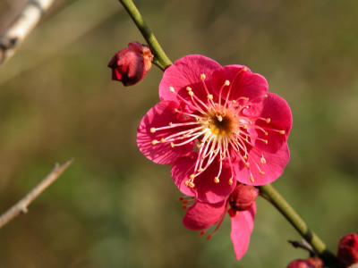 f0201297_21564776.jpg