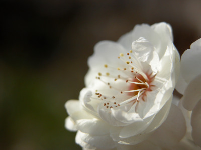 f0201297_222185.jpg