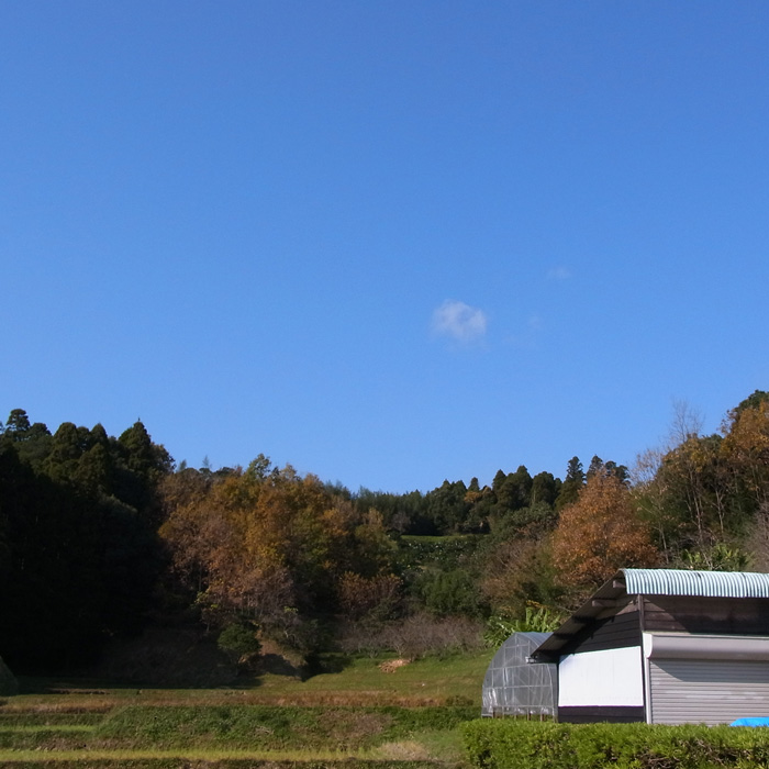 c0049299_201736.jpg