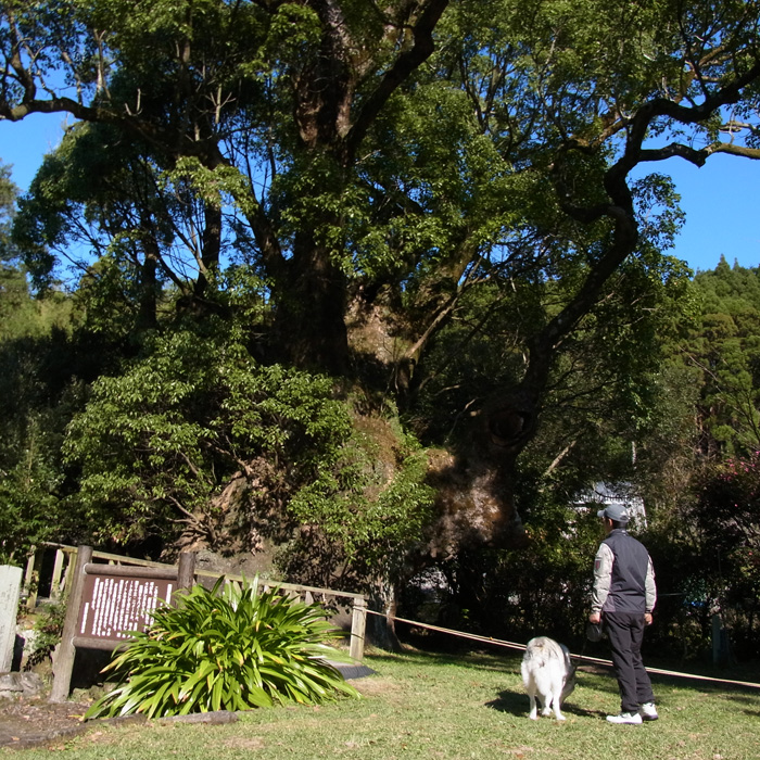 c0049299_2026870.jpg