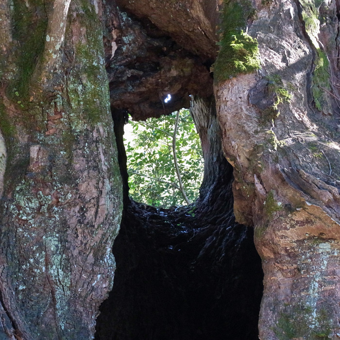 c0049299_2027277.jpg
