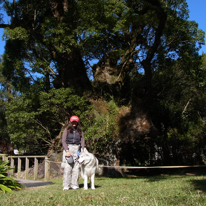 c0049299_20275959.jpg