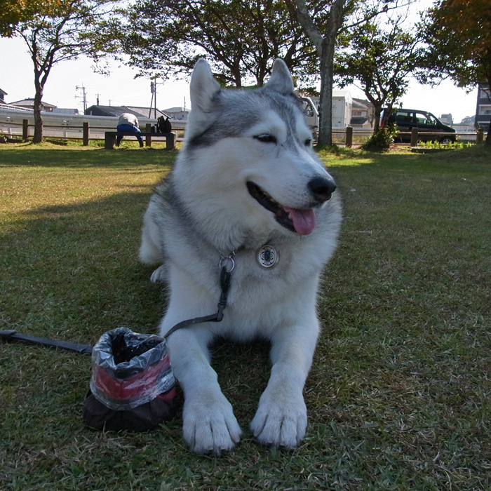 c0049299_20332345.jpg