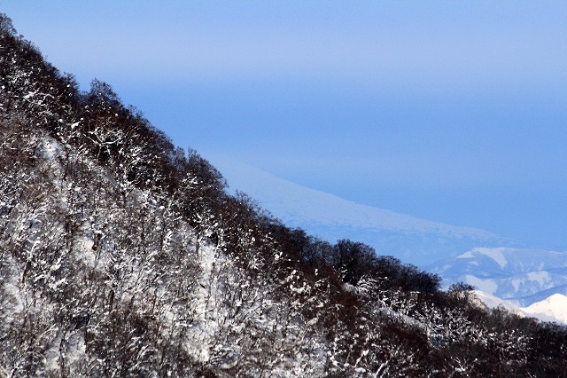 e0137200_16323727.jpg