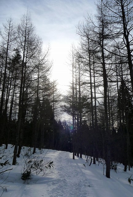 e0137200_16362457.jpg