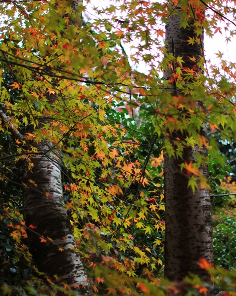 c0228404_1851288.jpg