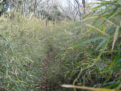 e0015108_2032532.jpg