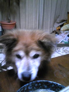 c0029913_23453548.jpg