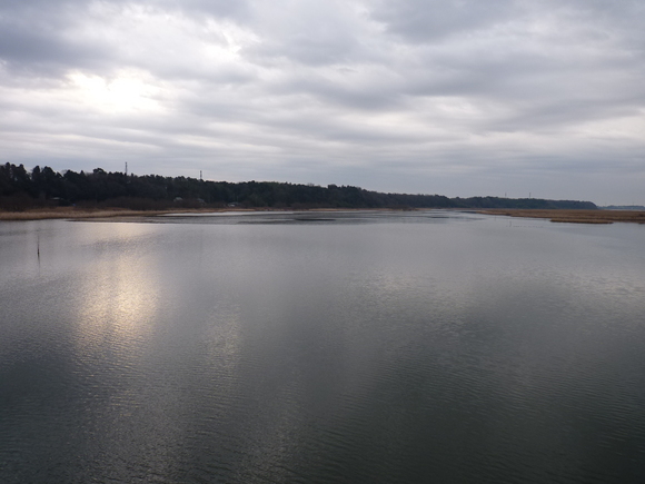 d0197317_11215950.jpg