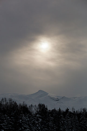 e0025030_8265881.jpg