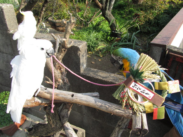 e0107730_0424929.jpg