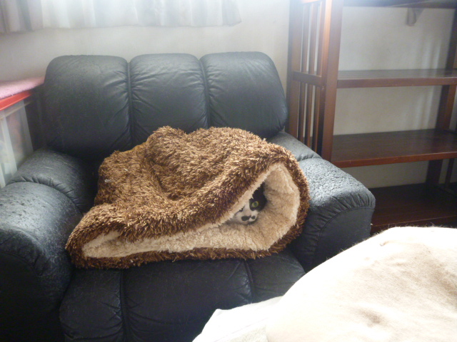e0142430_2357083.jpg